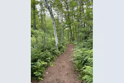 1766 Route 10 N, Grantham, NH 03753 - Photo 19