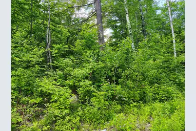 12 Frescoln Road, Wentworth, NH 03282 - Photo 9