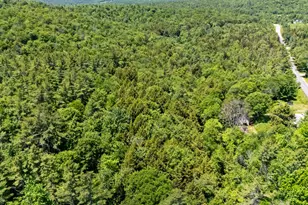 202 Granite Lake Rd, Nelson, NH 03457 - Photo 5