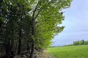 107 Greenfield Rd, New Boston, NH 03070 - Photo 33
