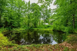 143 Town House Rd, Effingham, NH 03882 - Photo 33