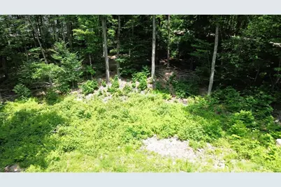 151 Red Coat Lane, Stoddard, NH 03464 - Photo 3