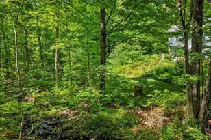 87 Woodhill Rd, Bow, NH 03304 - Photo 49