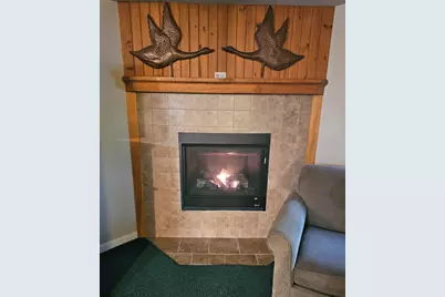 164 Deer Park Drive #177D, Woodstock, NH 03262 - Photo 7