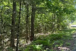 Lot 33 34 35 Washington St, Barrington, NH 03825 - Photo 1