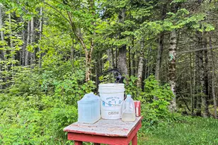 27 Placy Rd, Columbia, NH 03576 - Photo 35