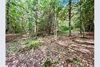 Nh Route 175, Campton, NH 03223 - Photo 7