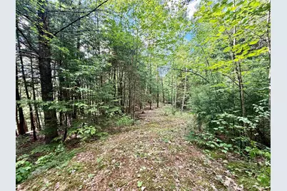 Nh Route 175, Campton, NH 03223 - Photo 5