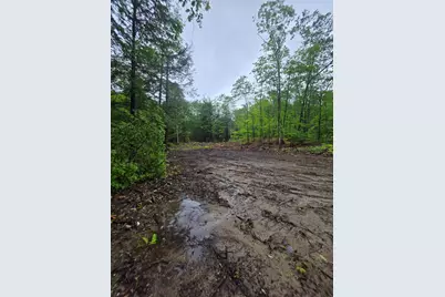 84 Texas Hill Road, Plymouth, NH 03264 - Photo 5