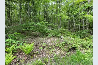Dole School House Road, Washington, NH 03280 - Photo 5