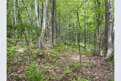 Dole School House Road, Washington, NH 03280 - Photo 1