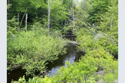 Dole School House Road, Washington, NH 03280 - Photo 7