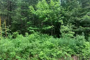 Tbd Griffin Rd, Stewartstown, NH 03576 - Photo 1