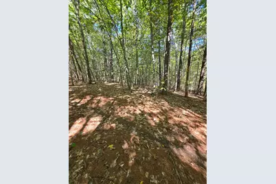 0 Grove Road, New Durham, NH 03855 - Photo 3