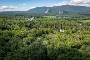 45 Washington Ave, Bartlett, NH 03812 - Photo 41