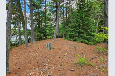 0 Meadow Pond Road, Gilmanton, NH 03237 - Photo 5