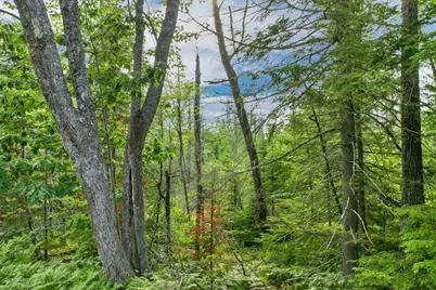 56-3-8 Federal Corner Road, Tuftonboro, NH 03816 - Photo 5