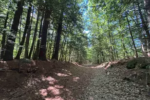 00 Windfall Rd, Northfield, NH 03276 - Photo 1