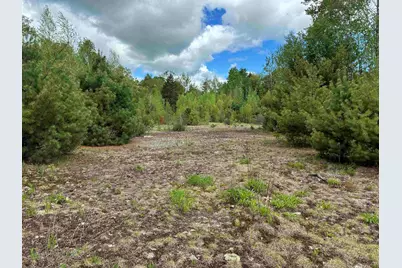 0 Grafton Turnpike Road, Canaan, NH 03741 - Photo 5