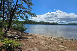 130 Plains Rd, Madison, NH 03875 - Photo 15