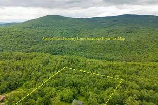 391 Bradley Hill Rd, Bath, NH 03740 - Photo 3
