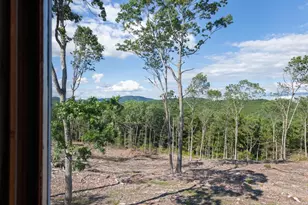 81 Disdam Rd, Holderness, NH 03245 - Photo 23