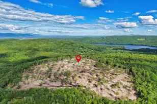 81 Disdam Rd, Holderness, NH 03245 - Photo 29