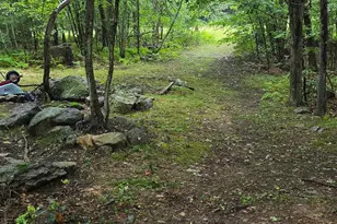 270 Lockes Hill Rd, Epsom, NH 03234 - Photo 59