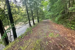 466 Estey Ln, Windsor, VT 05089 - Photo 55