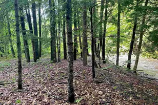 466 Estey Ln, Windsor, VT 05089 - Photo 49