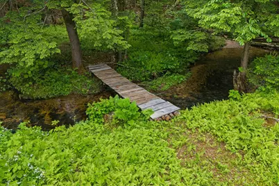 388 Perch Pond Road, Holderness, NH 03245 - Photo 5