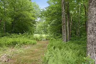 125 Lee Rd, Moultonborough, NH 03254 - Photo 53