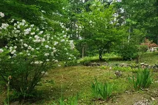14 Ridgeway Dr, Newbury, NH 03255 - Photo 17