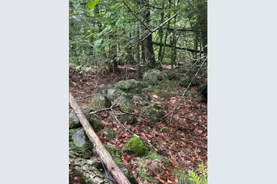 00 Hurricane Road #Backland, Westmoreland, NH 03467 - Photo 9