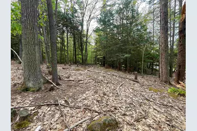 Map 212, Lot 49 Durrell Mountain Road, Belmont, NH 03220 - Photo 7