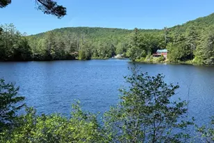 1049 Main St, Grafton, NH 03240 - Photo 3