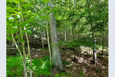 175 Sunset Rock Road, Lebanon, NH 03766 - Photo 17
