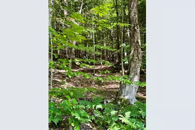 175 Sunset Rock Road, Lebanon, NH 03766 - Photo 21