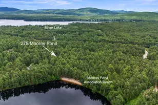 278 Moores Pond Rd, Madison, NH 03849 - Photo 33