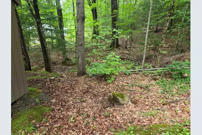 429 Perch Pond Road, Campton, NH 03223 - Photo 39
