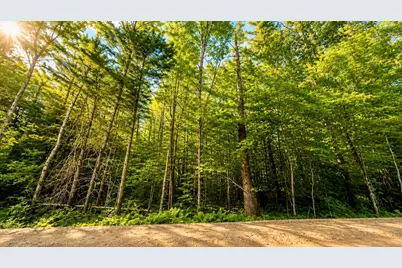 Lot 260-15 2nd Nh Turnpike, New Boston, NH 03070 - Photo 3