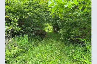 4 Cutler Road, Plainfield, NH 03781 - Photo 7