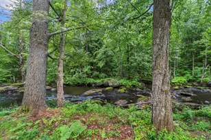 566 Beard Rd, Hillsboro, NH 03244 - Photo 5