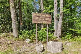 261 Forest Rd, Hancock, NH 03449 - Photo 57