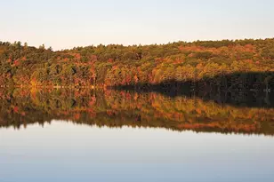 83 East Side Rd, Harrisville, NH 03450 - Photo 43