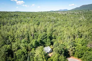 407 Dandiview Rd, Conway, NH 03860 - Photo 49