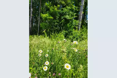 0 Stage Road, Unity, NH 03743 - Photo 5