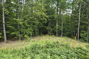 208 Nh Route 3A, Hill, NH 03243 - Photo 7