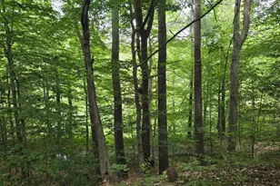 208 Nh Route 3A, Hill, NH 03243 - Photo 9