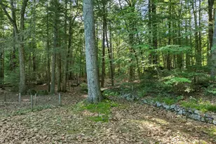 28 Manchester Rd, Amherst, NH 03031 - Photo 29